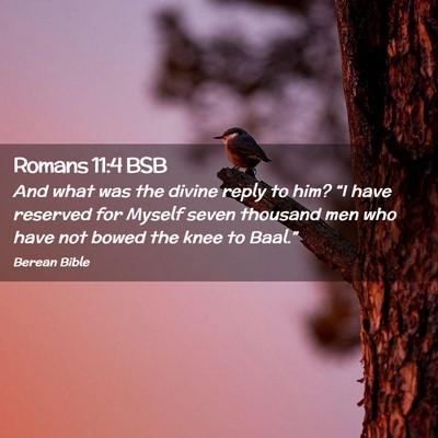 Picture 02 - Romans 11:4 BSB - And what was the divine reply to him? “I have - Bible Verse Picture