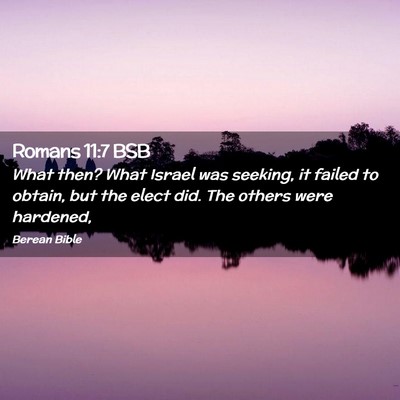 Picture 02 - Romans 11:7 BSB - What then? What Israel was seeking, it failed to - Bible Verse Picture