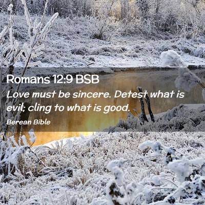 Picture 02 - Romans 12:9 BSB - Love must be sincere. Detest what is evil; cling - Bible Verse Picture