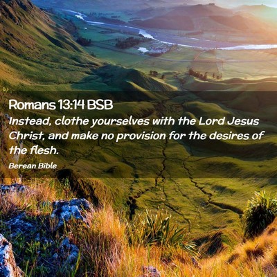 Picture 02 - Romans 13:14 BSB - Instead, clothe yourselves with the Lord Jesus - Bible Verse Picture
