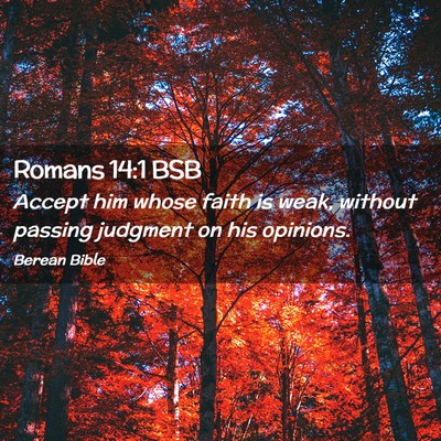 Picture 02 - Romans 14:1 BSB - Accept him whose faith is weak, without passing - Bible Verse Picture