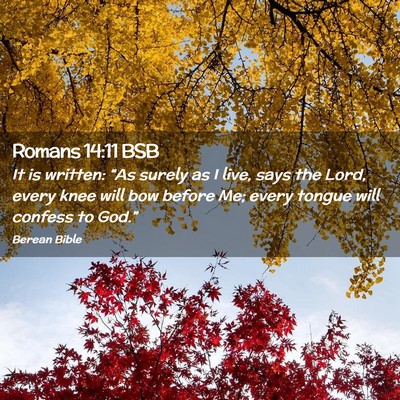 Picture 02 - Romans 14:11 BSB - It is written: “As surely as I live, says the - Bible Verse Picture