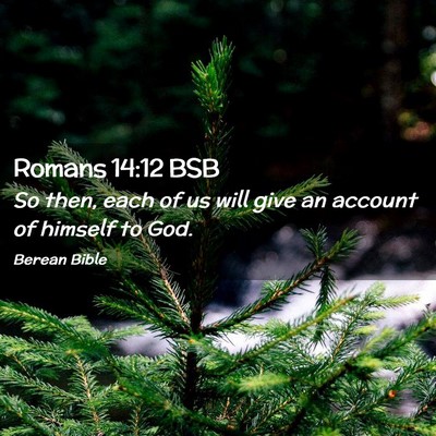 Picture 02 - Romans 14:12 BSB - So then, each of us will give an account of - Bible Verse Picture