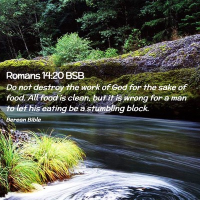 Picture 02 - Romans 14:20 BSB - Do not destroy the work of God for the sake of - Bible Verse Picture