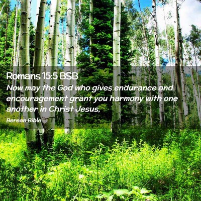 Picture 02 - Romans 15:5 BSB - Now may the God who gives endurance and - Bible Verse Picture