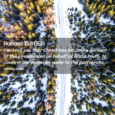 Picture 02 - Romans 15:8 BSB - For I tell you that Christ has become a servant - Bible Verse Picture