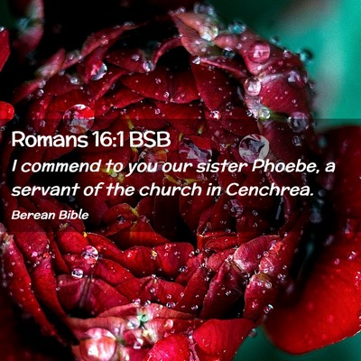 Picture 02 - Romans 16:1 BSB - I commend to you our sister Phoebe, a servant of - Bible Verse Picture