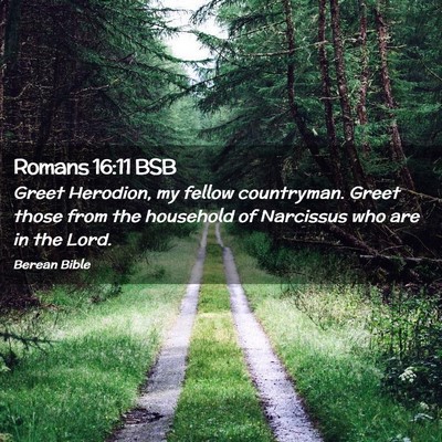 Picture 02 - Romans 16:11 BSB - Greet Herodion, my fellow countryman. Greet those - Bible Verse Picture
