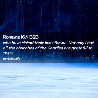 Picture 02 - Romans 16:4 BSB - who have risked their lives for me. Not only I - Bible Verse Picture