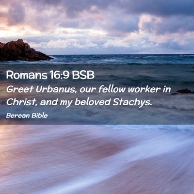 Picture 02 - Romans 16:9 BSB - Greet Urbanus, our fellow worker in Christ, and - Bible Verse Picture