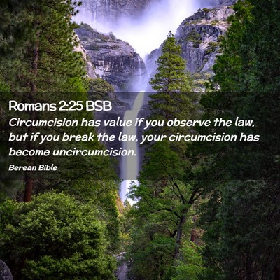Picture 02 - Romans 2:25 BSB - Circumcision has value if you observe the law, - Bible Verse Picture