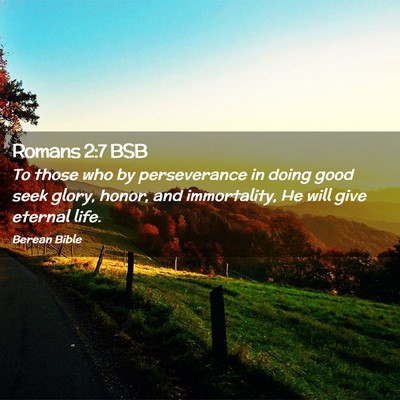 Picture 02 - Romans 2:7 BSB - To those who by perseverance in doing good seek - Bible Verse Picture