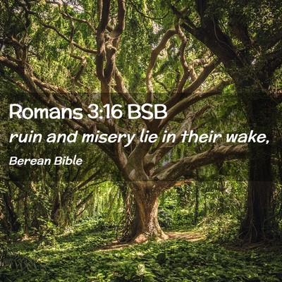 Picture 02 - Romans 3:16 BSB - ruin and misery lie in their - Bible Verse Picture