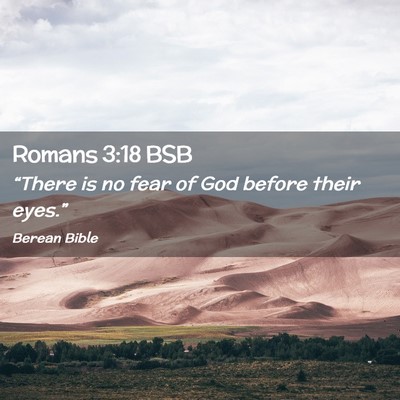 Picture 02 - Romans 3:18 BSB - “There is no fear of God before their - Bible Verse Picture