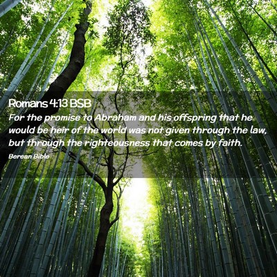 Picture 02 - Romans 4:13 BSB - For the promise to Abraham and his offspring that - Bible Verse Picture