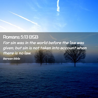Picture 02 - Romans 5:13 BSB - For sin was in the world before the law was - Bible Verse Picture