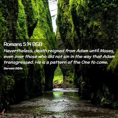 Picture 02 - Romans 5:14 BSB - Nevertheless, death reigned from Adam until - Bible Verse Picture