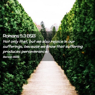 Picture 02 - Romans 5:3 BSB - Not only that, but we also rejoice in our - Bible Verse Picture