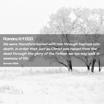 Picture 02 - Romans 6:4 BSB - We were therefore buried with Him through baptism - Bible Verse Picture