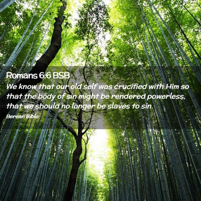 Picture 02 - Romans 6:6 BSB - We know that our old self was crucified with Him - Bible Verse Picture
