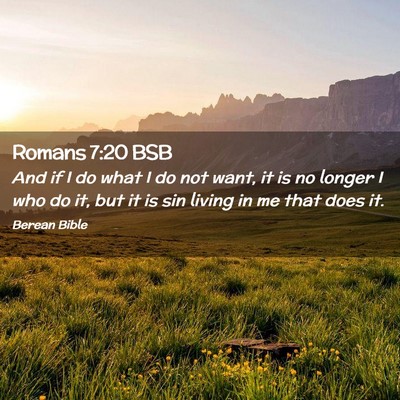 Picture 02 - Romans 7:20 BSB - And if I do what I do not want, it is no longer I - Bible Verse Picture
