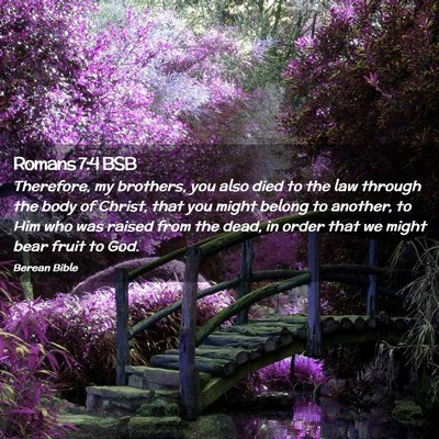 Picture 02 - Romans 7:4 BSB - Therefore, my brothers, you also died to the law - Bible Verse Picture