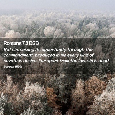 Picture 02 - Romans 7:8 BSB - But sin, seizing its opportunity through the - Bible Verse Picture