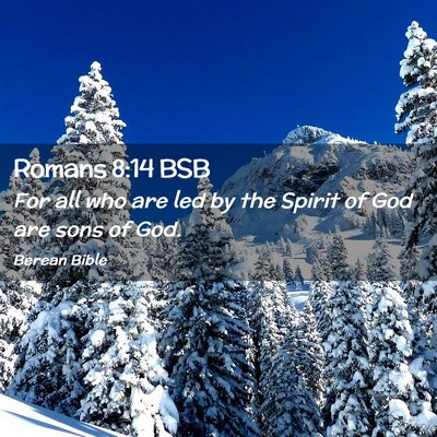 Picture 02 - Romans 8:14 BSB - For all who are led by the Spirit of God are sons - Bible Verse Picture
