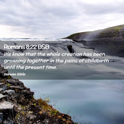 Picture 02 - Romans 8:22 BSB - We know that the whole creation has been groaning - Bible Verse Picture