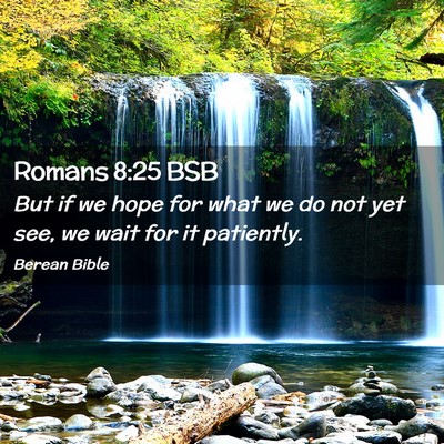 Picture 02 - Romans 8:25 BSB - But if we hope for what we do not yet see, we - Bible Verse Picture