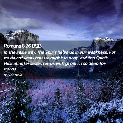 Picture 02 - Romans 8:26 BSB - In the same way, the Spirit helps us in our - Bible Verse Picture