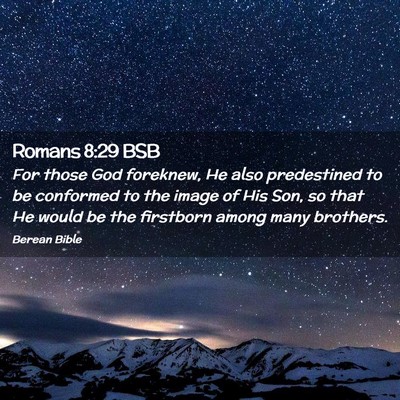 Picture 02 - Romans 8:29 BSB - For those God foreknew, He also predestined to be - Bible Verse Picture