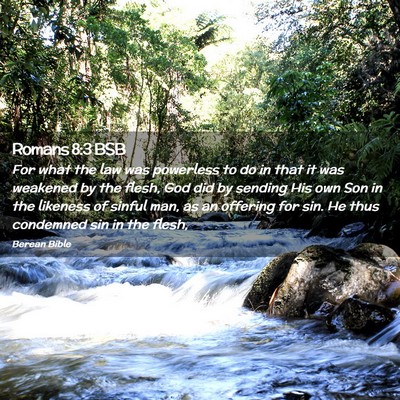 Picture 02 - Romans 8:3 BSB - For what the law was powerless to do in that it - Bible Verse Picture