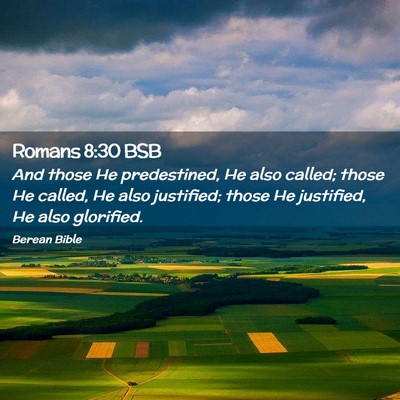 Picture 02 - Romans 8:30 BSB - And those He predestined, He also called; those - Bible Verse Picture