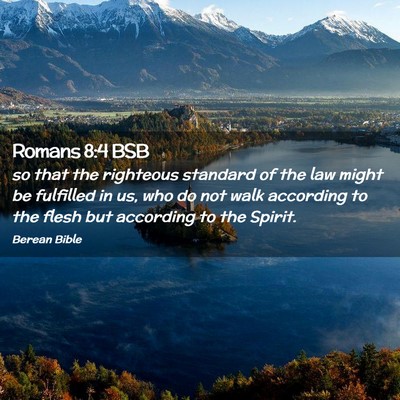 Picture 02 - Romans 8:4 BSB - so that the righteous standard of the law might - Bible Verse Picture