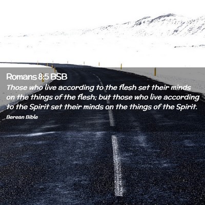 Picture 02 - Romans 8:5 BSB - Those who live according to the flesh set their - Bible Verse Picture