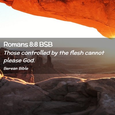 Picture 02 - Romans 8:8 BSB - Those controlled by the flesh cannot please - Bible Verse Picture