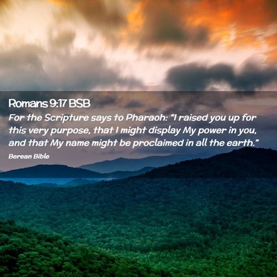 Picture 02 - Romans 9:17 BSB - For the Scripture says to Pharaoh: “I raised - Bible Verse Picture