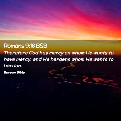 Picture 02 - Romans 9:18 BSB - Therefore God has mercy on whom He wants to have - Bible Verse Picture