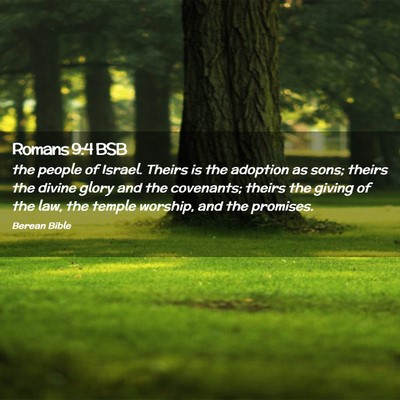 Picture 02 - Romans 9:4 BSB - the people of Israel. Theirs is the adoption as - Bible Verse Picture