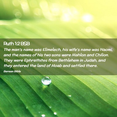 Picture 02 - Ruth 1:2 BSB - The man’s name was Elimelech, his wife’s name - Bible Verse Picture