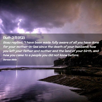 Picture 02 - Ruth 2:11 BSB - Boaz replied, “I have been made fully aware of - Bible Verse Picture