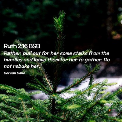 Picture 02 - Ruth 2:16 BSB - Rather, pull out for her some stalks from the - Bible Verse Picture