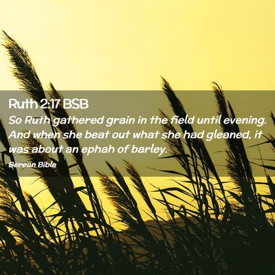 Picture 02 - Ruth 2:17 BSB - So Ruth gathered grain in the field until - Bible Verse Picture