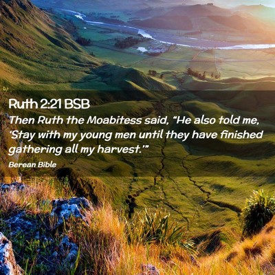 Picture 02 - Ruth 2:21 BSB - Then Ruth the Moabitess said, “He also told me, - Bible Verse Picture