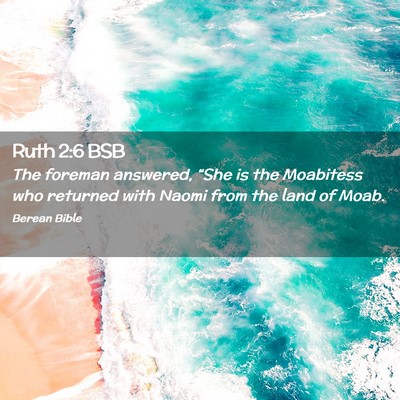Picture 02 - Ruth 2:6 BSB - The foreman answered, “She is the Moabitess who - Bible Verse Picture