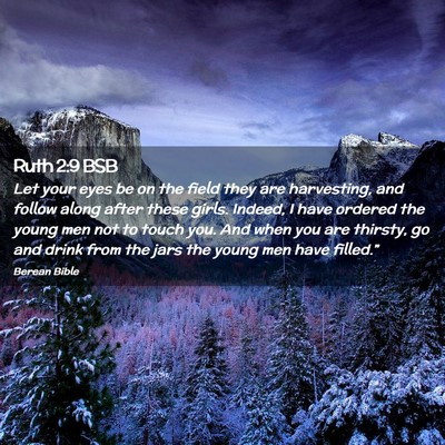 Picture 02 - Ruth 2:9 BSB - Let your eyes be on the field they are - Bible Verse Picture