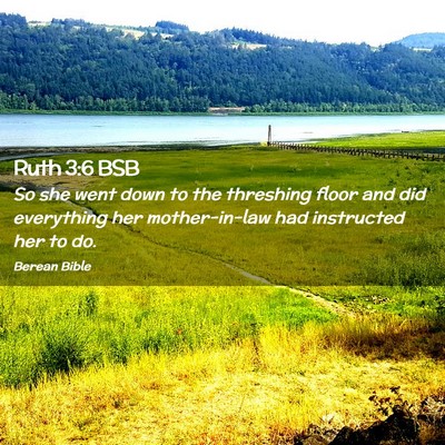 Picture 02 - Ruth 3:6 BSB - So she went down to the threshing floor and did - Bible Verse Picture