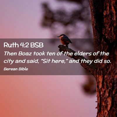 Picture 02 - Ruth 4:2 BSB - Then Boaz took ten of the elders of the city and - Bible Verse Picture