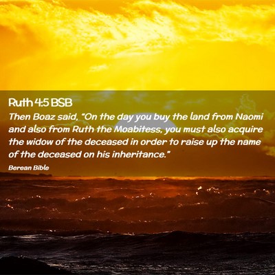 Picture 02 - Ruth 4:5 BSB - Then Boaz said, “On the day you buy the land - Bible Verse Picture